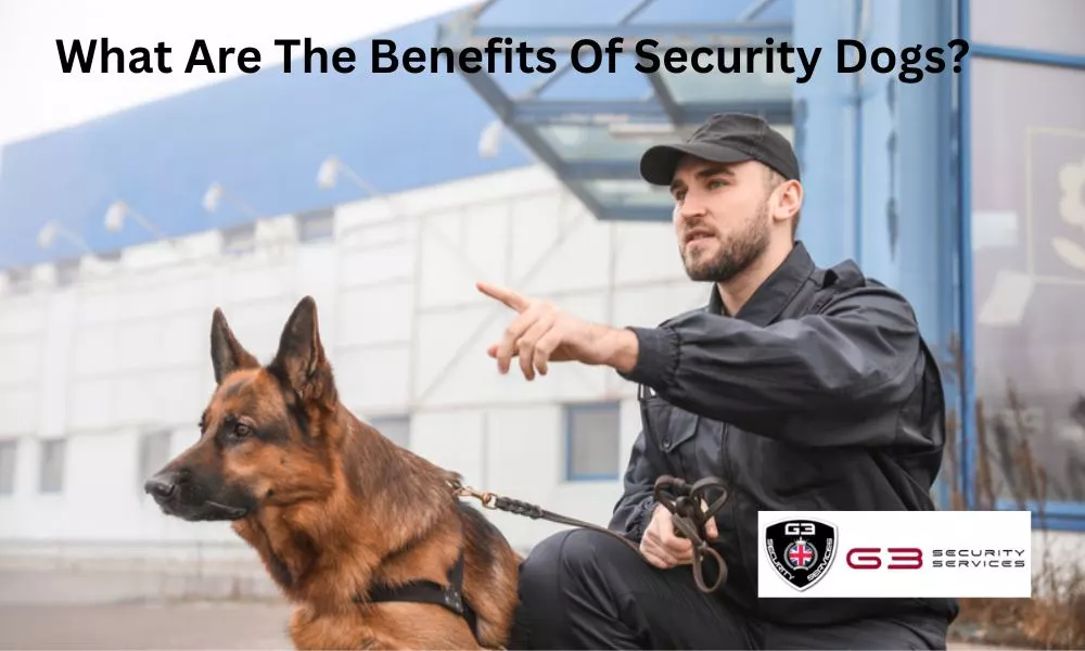 What Are The Benefits Of Security Dogs?