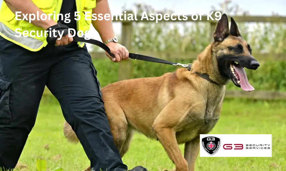 Exploring 5 Essential Aspects of K9 Security Dogs