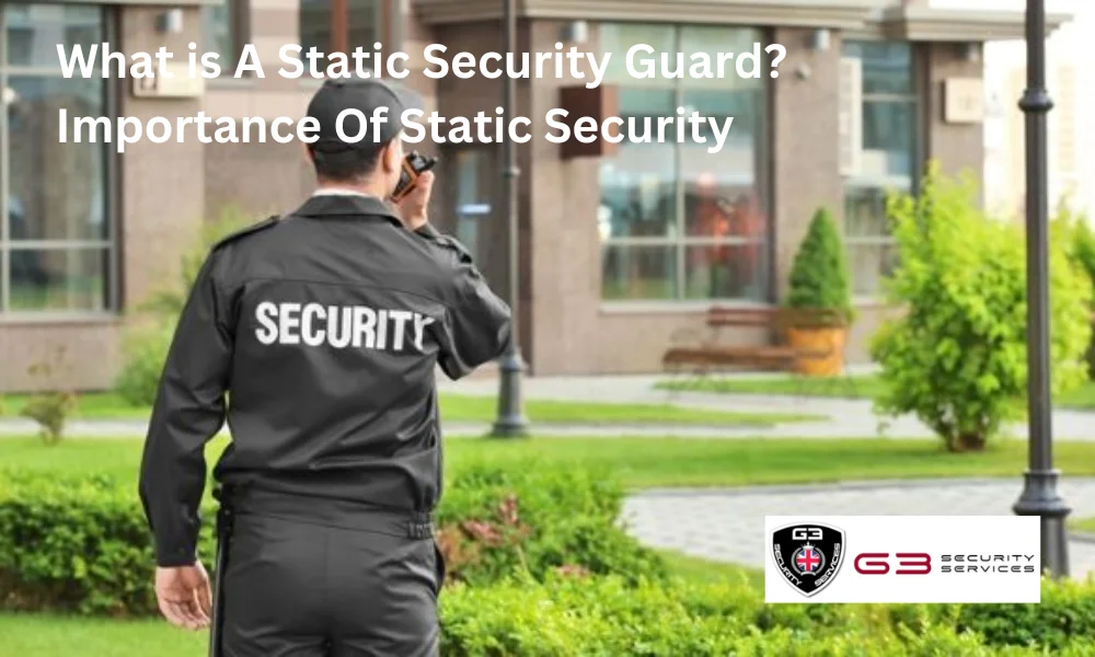 What is A Static Security Guard? Importance Of Static Security