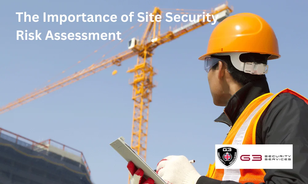 security risk assessment