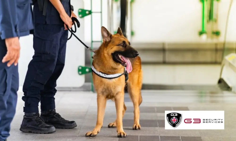 Why K9 Security is More Effective At Dealing With Difficult Situations